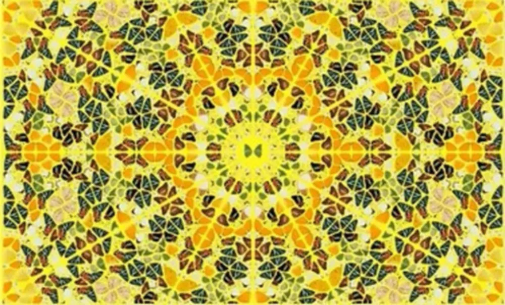 Múltiplo Hirst - Splendour from the Kaleidoscopes, H18-4