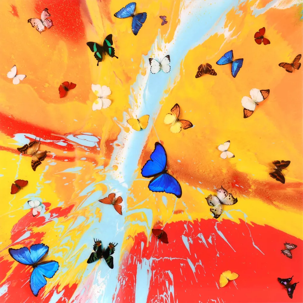 Múltiplo Hirst - The Dreams – Aurora Dawn