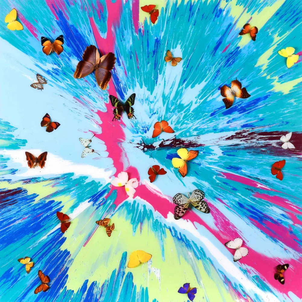 Múltiplo Hirst - The Dreams – Gentle Zephyr