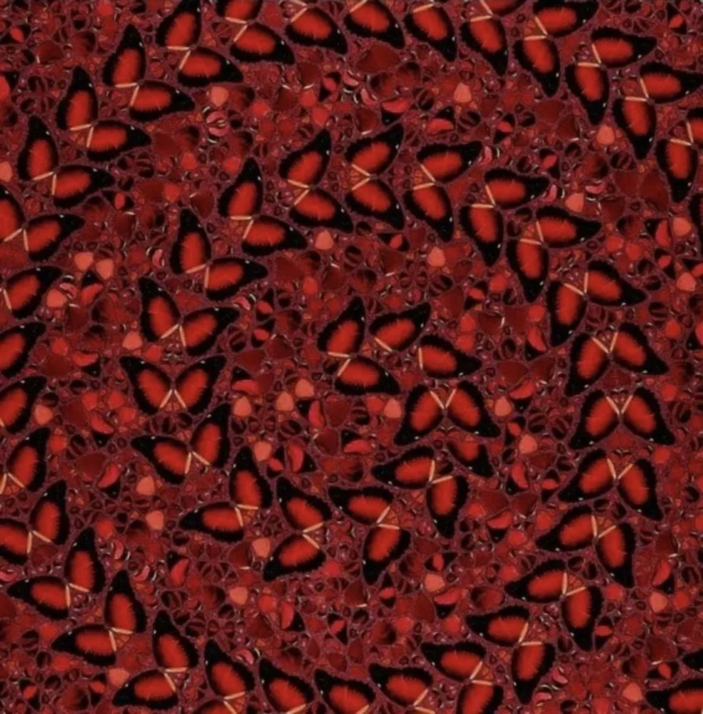 Múltiplo Hirst - The Empresses (H10-5 Taytu Betul)