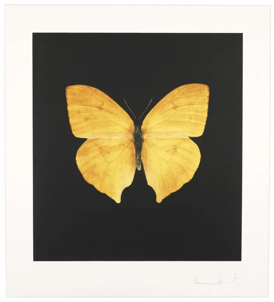 Gravura Hirst - The Souls On Jacob’s Ladder Take Their Flight I