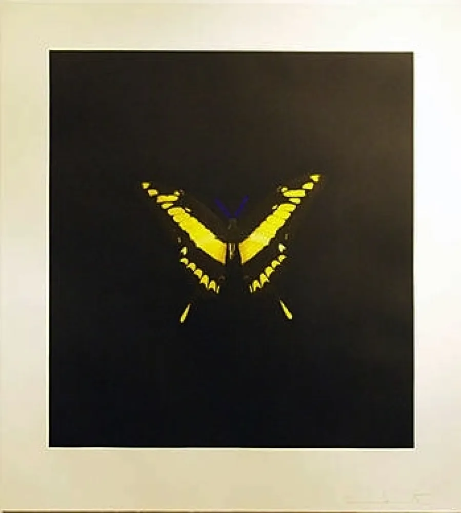 Água-Forte Hirst - The Souls On Jacob's Ladder Take Their Flight (Small Yellow)