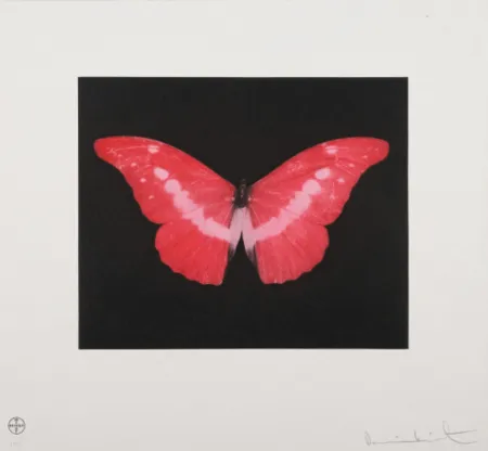 Água-Tinta Hirst - To Lose