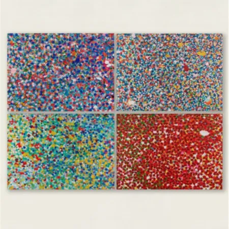 Múltiplo Hirst - Veils Set of 4