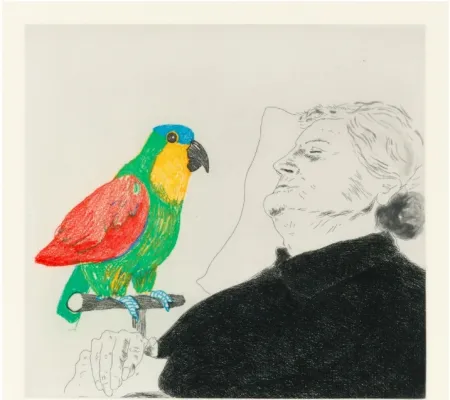Água-Forte Hockney -  Félicité sleeping with Parrot. 1974