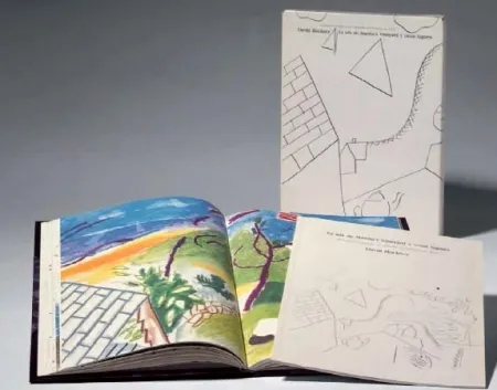 Livro Ilustrado Hockney -  La Isla de Martha Vineyard y otros lugares