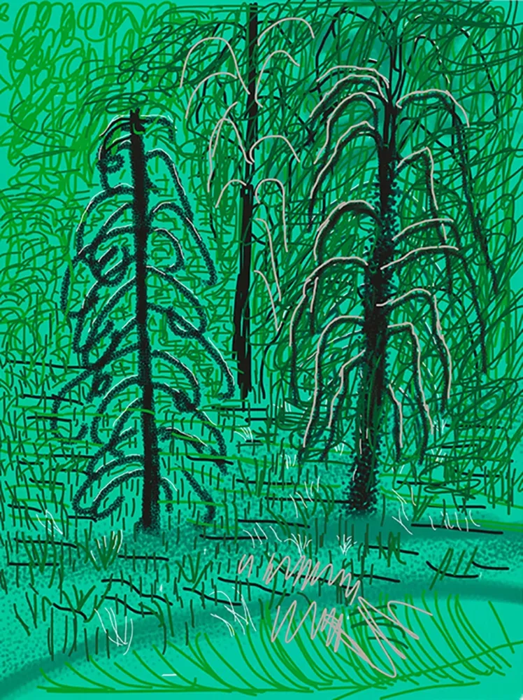 Gravura Digital Hockney - Yosemite No.16