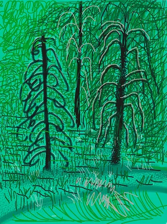 Gravura Digital Hockney - Yosemite No.16