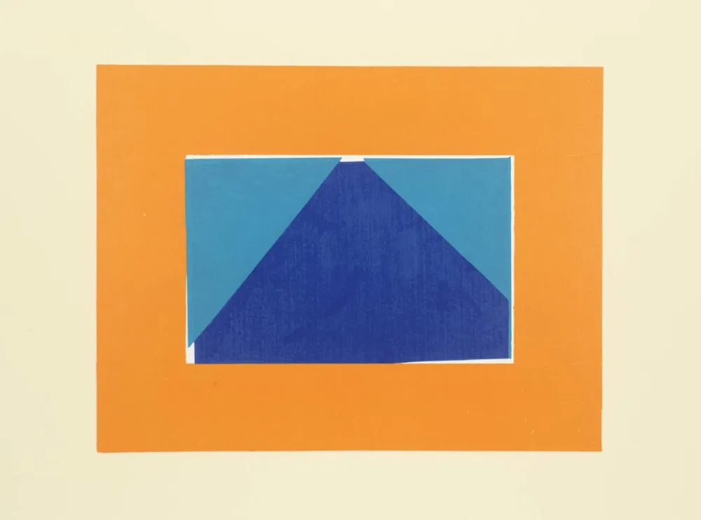 Serigrafia Hodgkin - Indian Views – Plate C