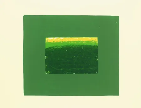 Serigrafia Hodgkin - Indian Views - Plate K