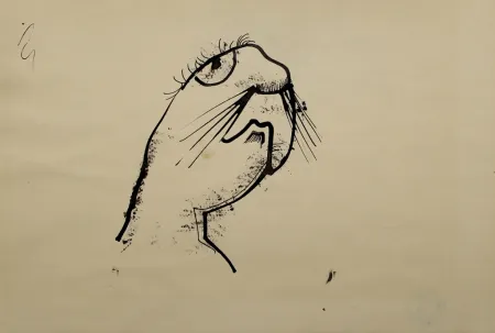 Sem Técnica Hofer - Robbe (Seal)