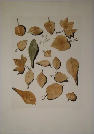 Água-Forte E Água-Tinta Hofkunst - (Welke Laubblätter)