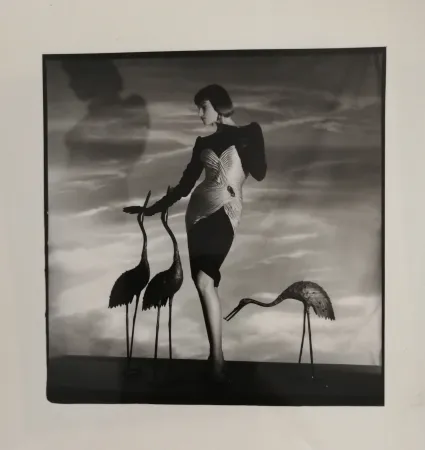 Fotografia Horst  - Femme aux hérons