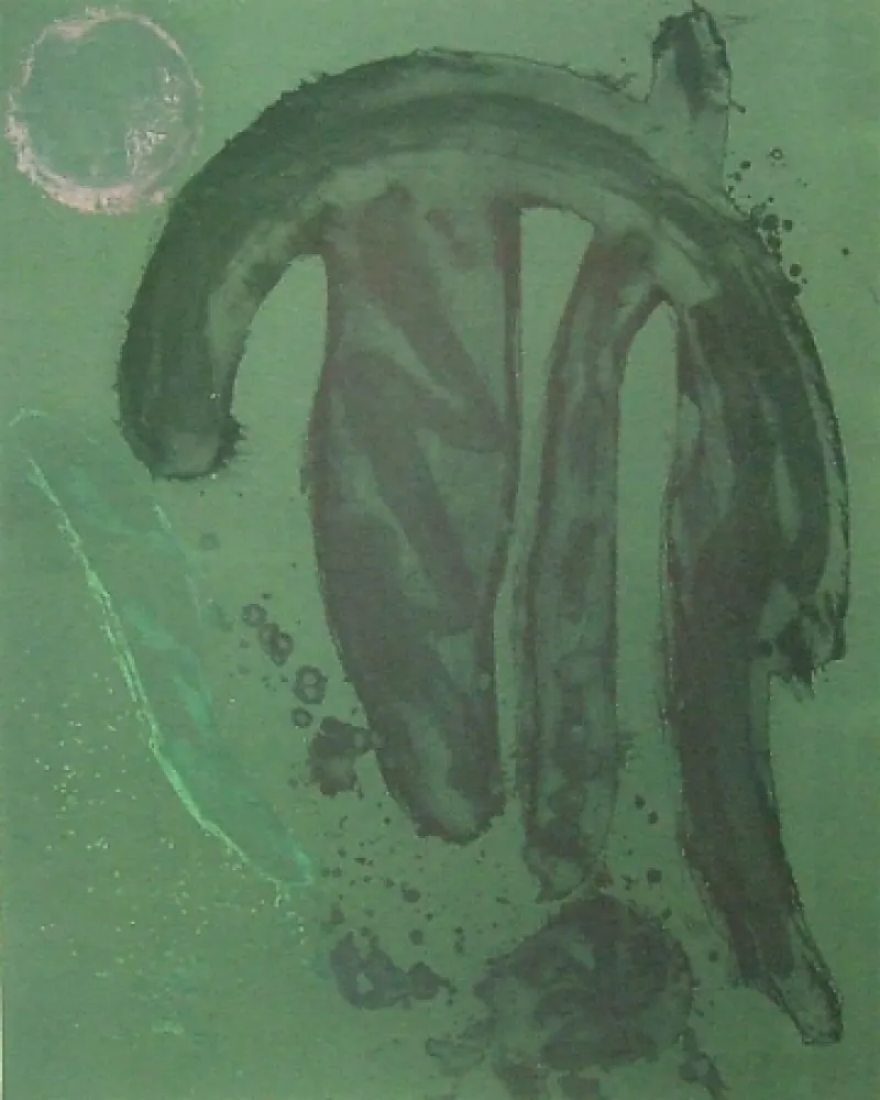 Água-Forte E Água-Tinta Hoyland - La manga