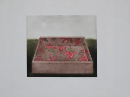 Meio-Tom Hwang - Moon & Box