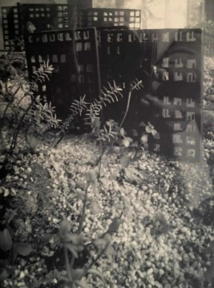 Múltiplo Iglesias - Aquarium II, 2