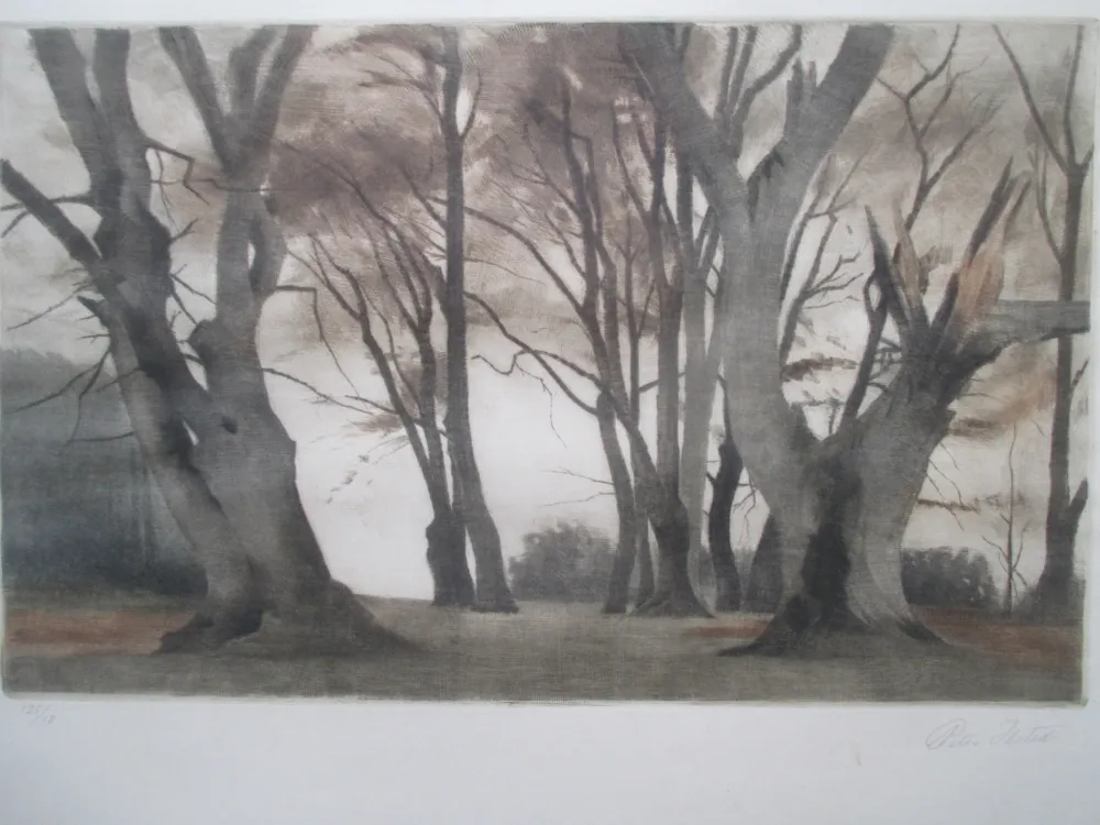 Meio-Tom Ilsted - Trees in Ermelunden