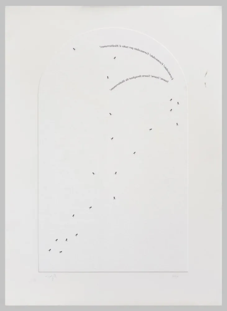 Serigrafia Isgro - Formicolate! Formicolate! Formicolate per tutto il mediterraneo!