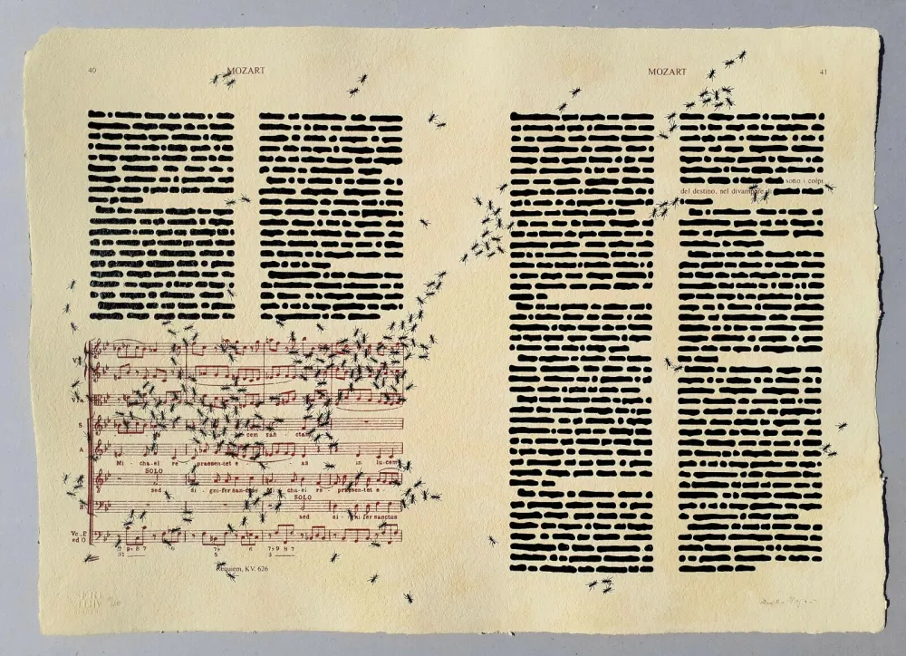 Serigrafia Isgro - Mozart