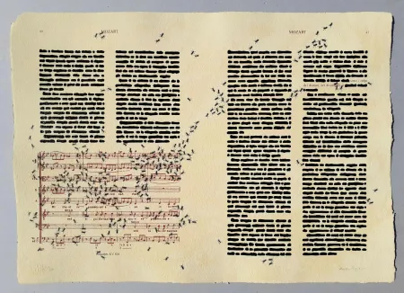 Serigrafia Isgro - Mozart