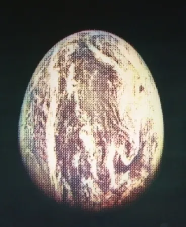 Água-Forte E Água-Tinta Jacquet - L'oeuf