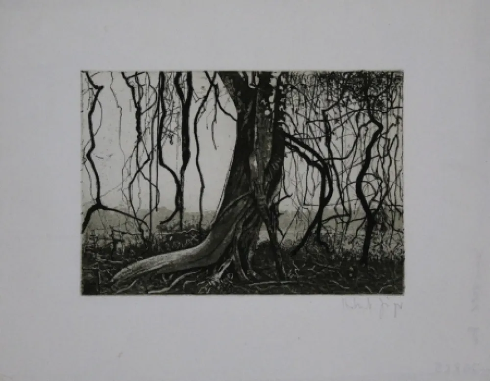 Água-Forte E Água-Tinta Jäger - Knorriger Baum / Gnarled Tree
