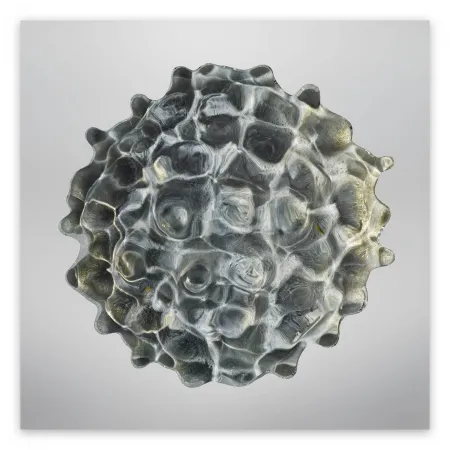 Fotografia Janiak - Résonance - water drop 84 (Large)