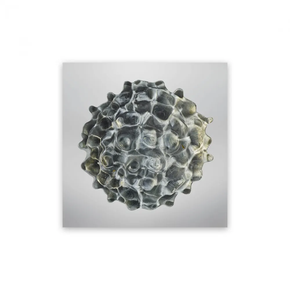 Fotografia Janiak - Résonance - water drop 84 (Medium)