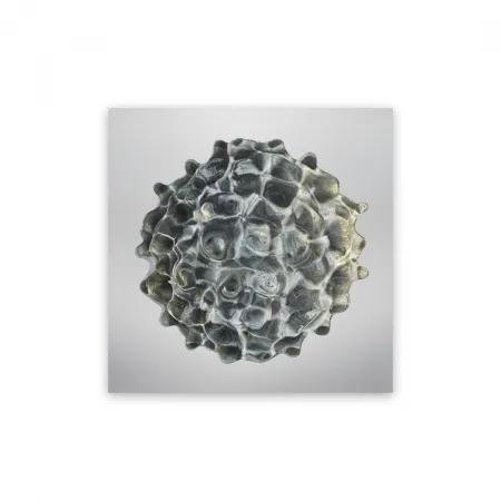 Fotografia Janiak - Résonance - water drop 84 (Medium)