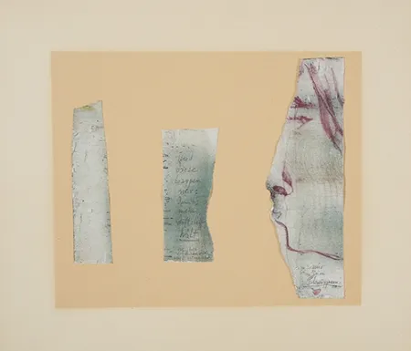 Sem Técnica Janssen - Portrait Annette...nur zum Schnuppern