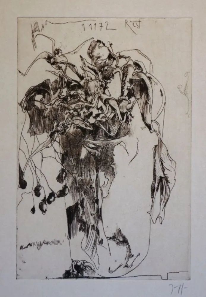 Gravura Janssen - Rest 1 11 72