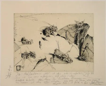 Gravura Janssen - (Tote Nachtfalter und Insekten)