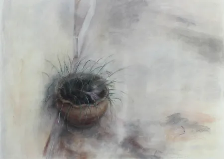 Sem Técnica Jaume - On the Patio