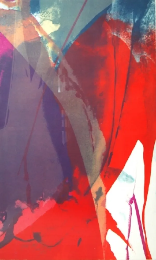 Litografia Jenkins - Untitled