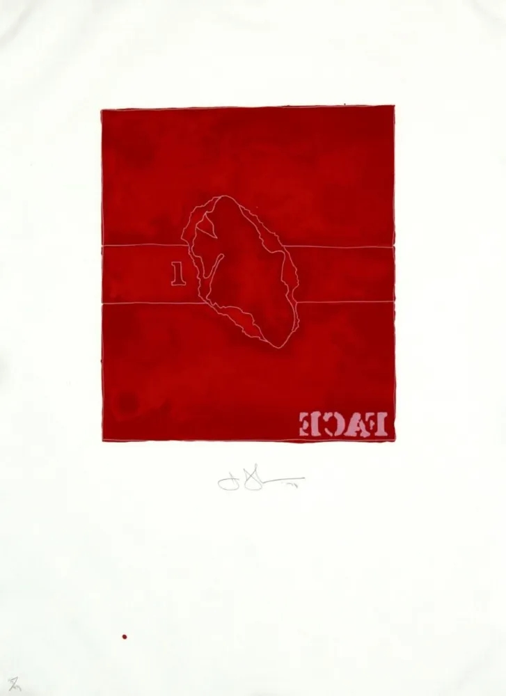 Litografia Johns - Face