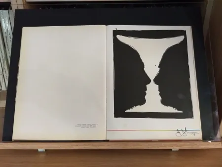 Livro Ilustrado Johns - No 40