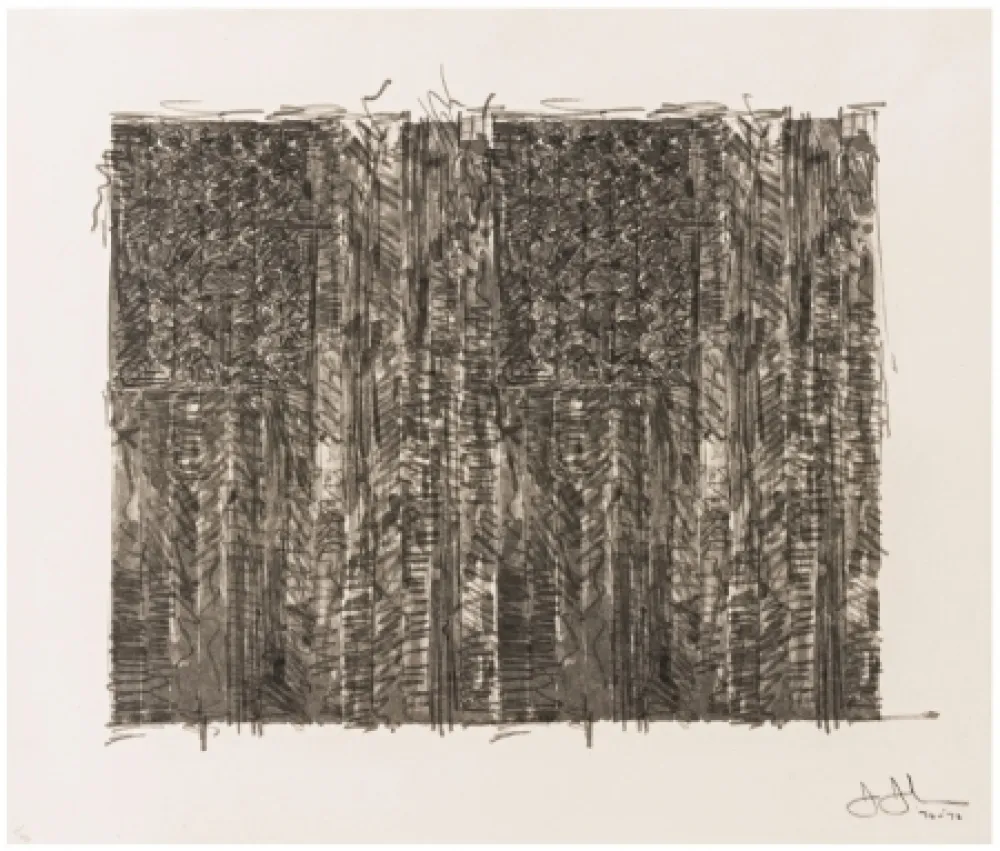 Serigrafia Johns - Two Flags