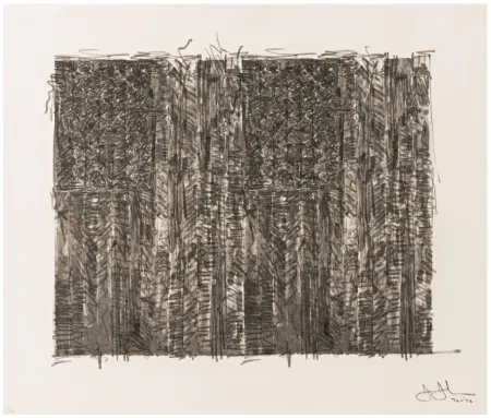 Serigrafia Johns - Two Flags