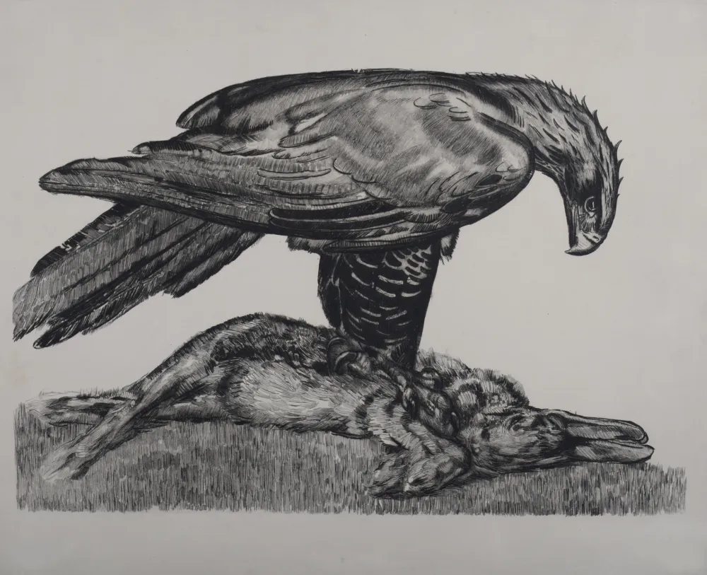 Água-Forte Jouve - Aigle enserrant un lièvre, c. 1930 - Deluxe suite!