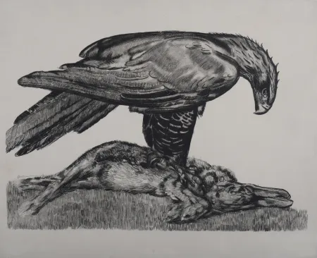 Água-Forte Jouve - Aigle enserrant un lièvre, c. 1930 - Deluxe suite!