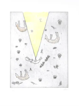 Gravura Kaga - Usacchi 4