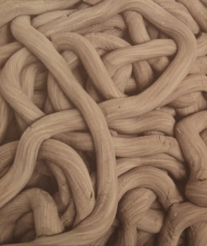 Litografia Kapoor - A Detail of Greyman Cries, Shaman Dies, Billowing Smoke, Beauty Evoked, 2008-2009 