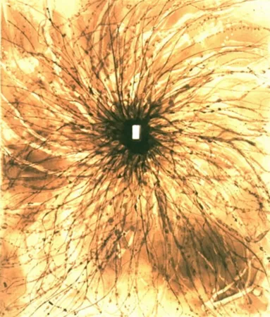 Água-Tinta Kapoor - Door