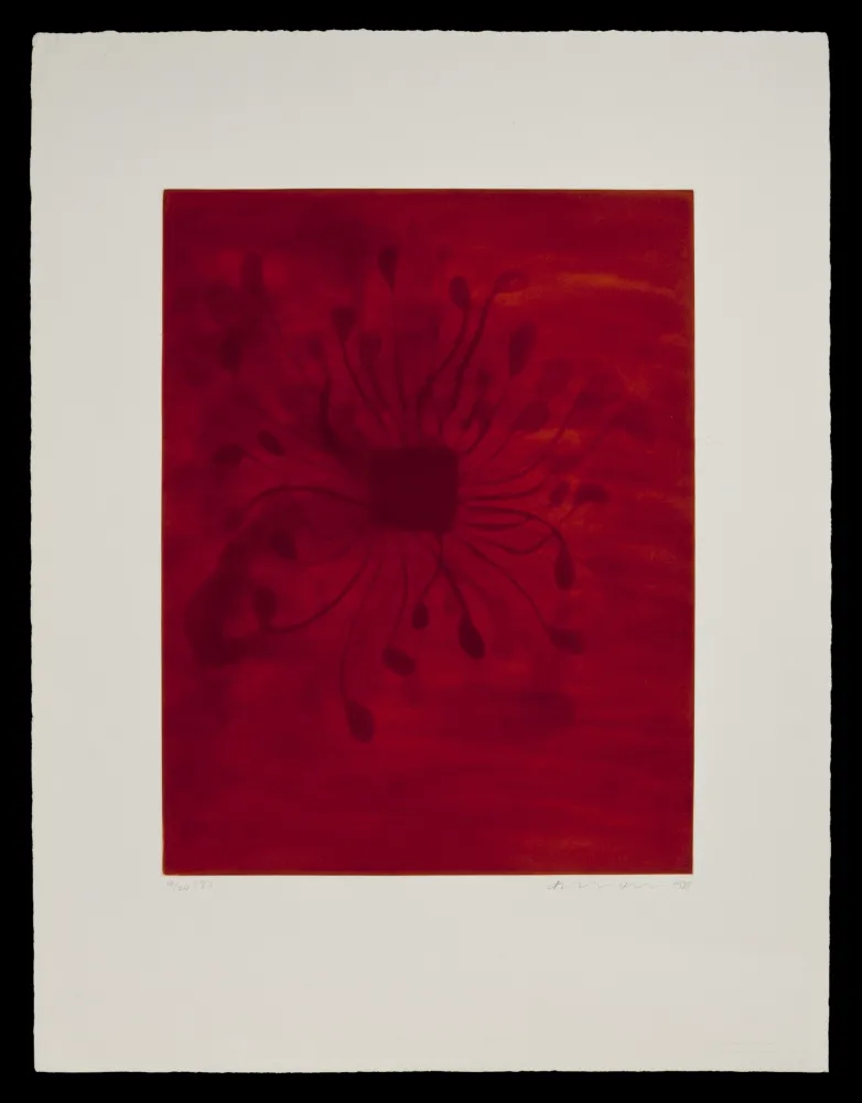 Água-Tinta Kapoor - S/T