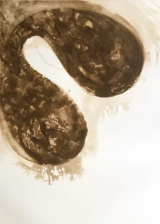 Água-Tinta Kapoor - Untitled (12)