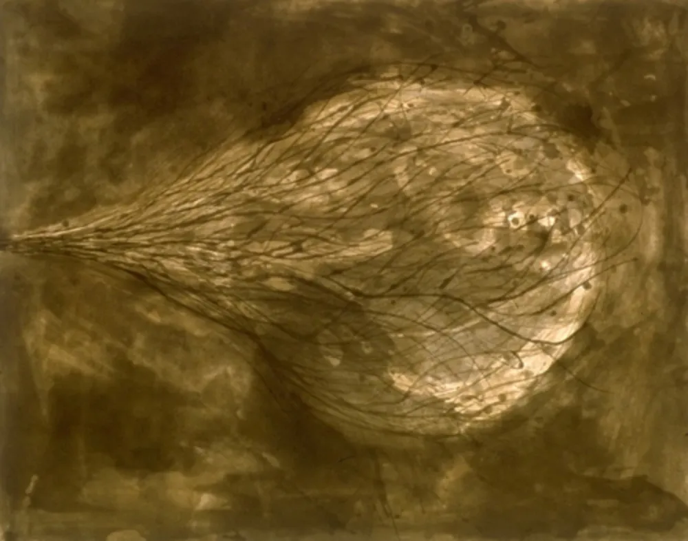 Água-Tinta Kapoor - Untitled (III)