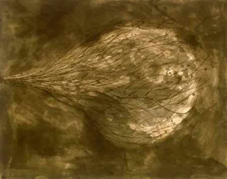 Água-Tinta Kapoor - Untitled (III)
