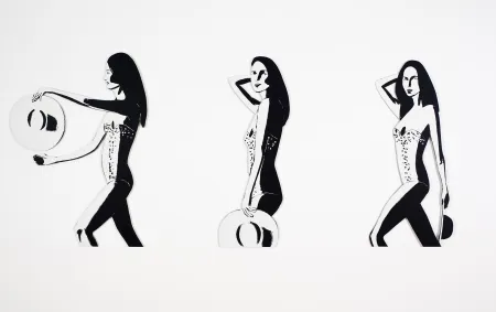 Sem Técnica Katz - Ariel