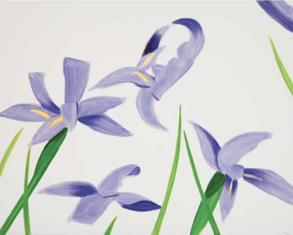 Sem Técnica Katz - Purple Irises on White