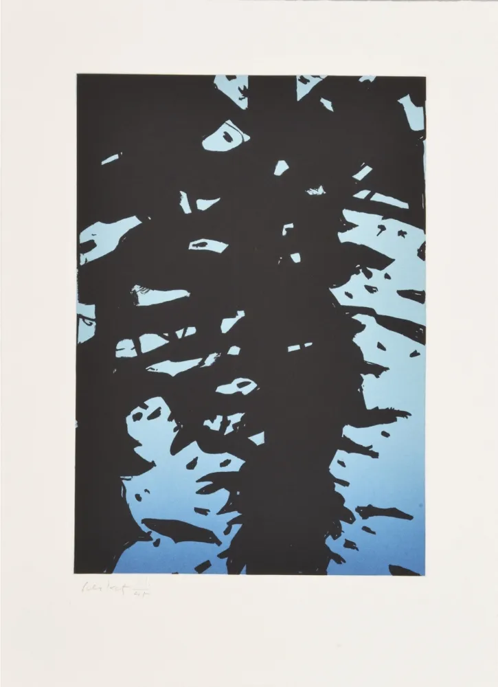 Água-Forte Katz - Reflection I